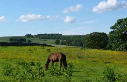 Baywood Cottage - Foto 30