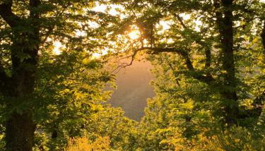 Agriturismo Capo Dezza - Foto 3