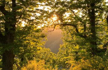 Agriturismo Capo Dezza - Foto 3