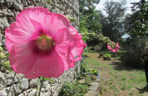 Holiday Home Botanica - Foto 49