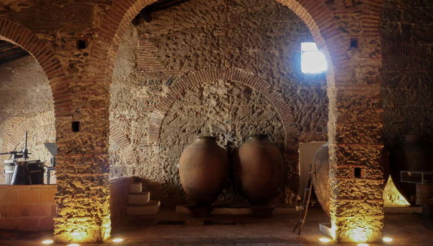 Grande Prova Honrado Winery Tour + Tasting - Foto 2