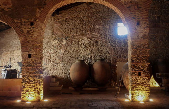 Grande Prova Honrado Winery Tour + Tasting - Foto 1