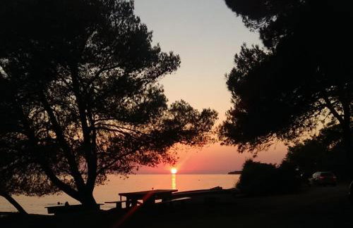 Apartments with garden - Foto 28