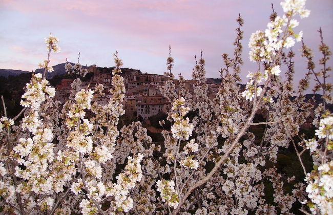 Ca Les Barberes - Photo 16