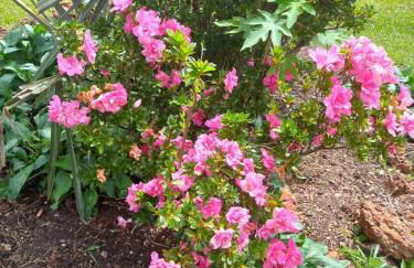 Recanto da Tia Lena - Foto 7