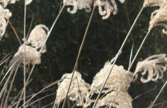 CHEZ ELLES EN PROVENCE - Photo 61