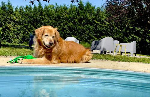 Pet and Breakfast Pet Friendly Country House - Foto 47