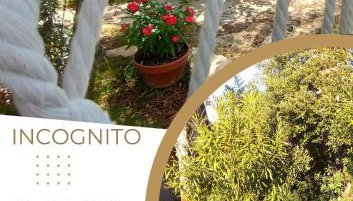 Adria apartments - Foto 3