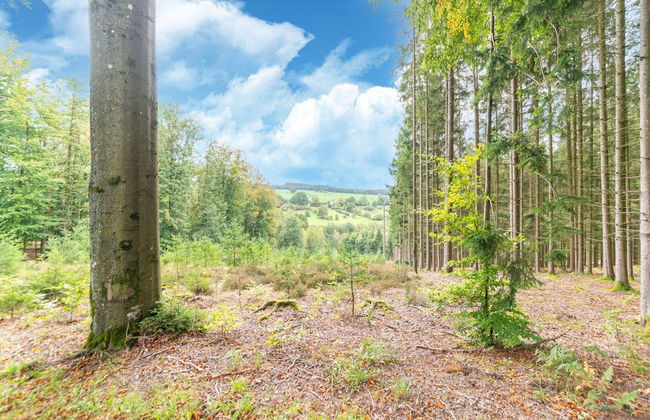 Family Home, Kicker, Sunset Views - Photo 32