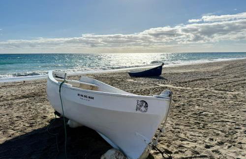 Mon paradis au soleil - Photo 69