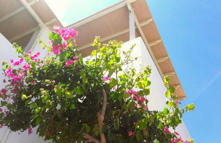 Kleanthi Apartments - Photo 78