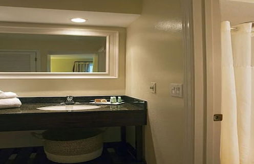 Chase Suite Hotel Rocky Point Tampa - Foto 18
