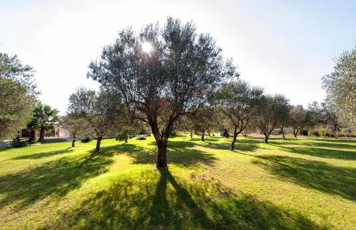 Olive Garden House - Foto 46