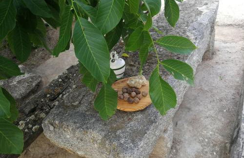 Villa Marichu. Piscina, BBQ y a 15 min Puy du Fou - Foto 25