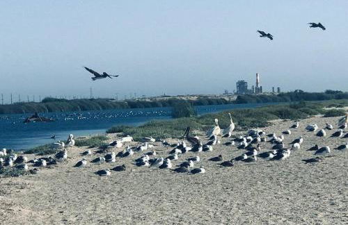 Romantic Coastal Private Room - Foto 78