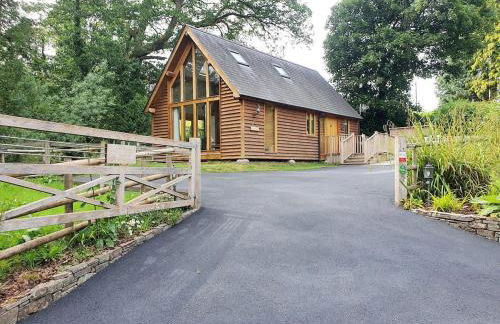 Swn Y Nant Lodge with hot tub Brecon - Foto 18