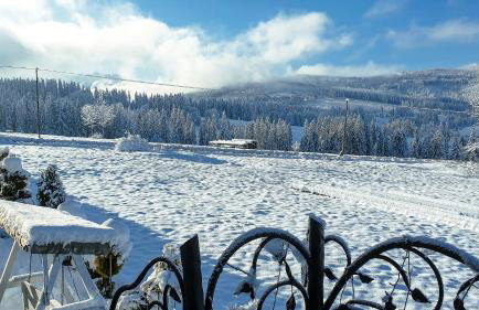 Willa Rąbanisko z sauną fińską - Foto 71