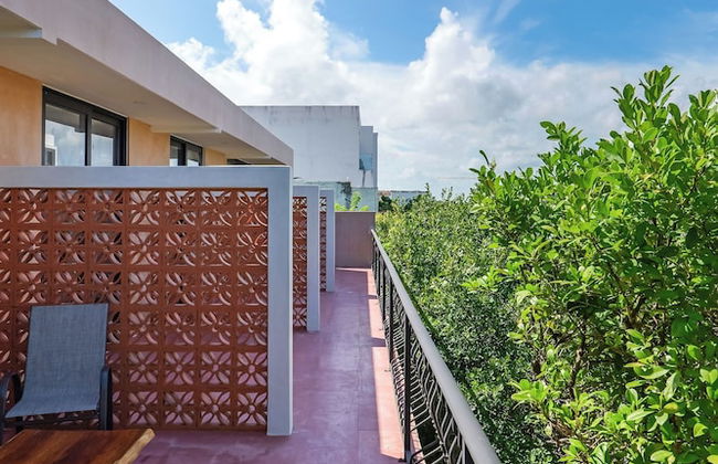 Calea Tulum - Photo 47