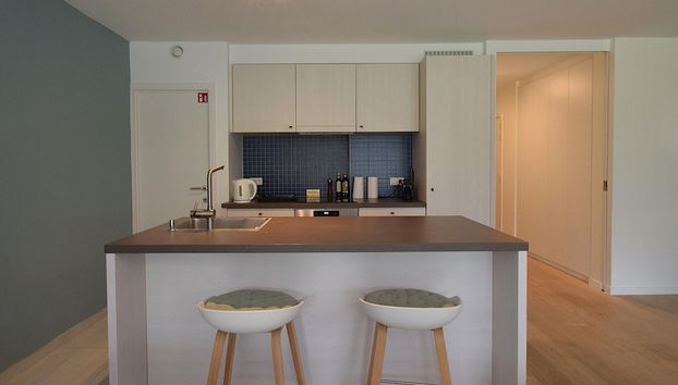 Modern Apartment Near Beach and Garden Views - Foto 4, Cocina privada