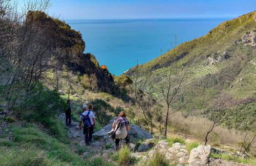 Agriturismo Orrido di Pino - Foto 34