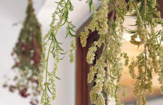 Wolfs Ferienhaus - Natürlich Eifel - Foto 14