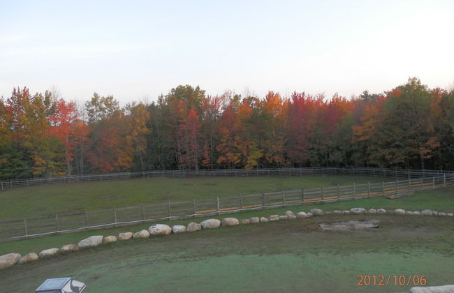 Denmark Stage Stop House - Photo 80