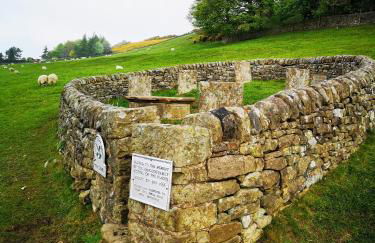 Maywalk House B&B - Photo 17