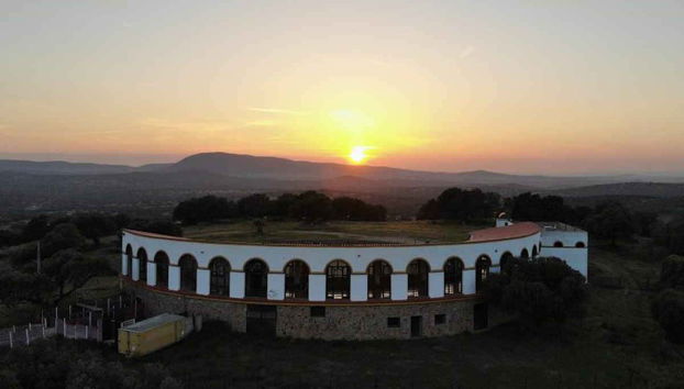 Tour del toro en 4x4 por los Llanos de Olivenza - Photo 5