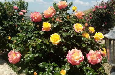 La valle degli dei - Foto 59