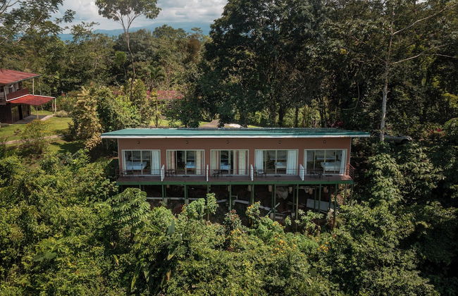 Villas Josipek - Photo 53