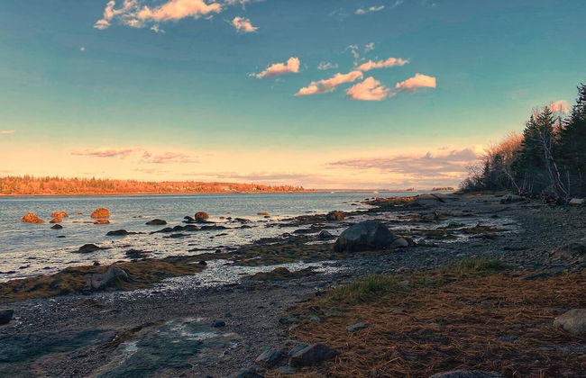 Puffin Rock - New 2022! - Photo 28