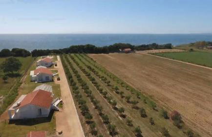 White Villas - Foto 69