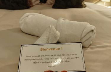 Nancy Vieille ville Stanislas - Foto 14