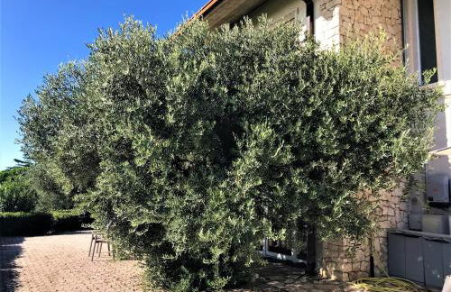 Valpolicella Hills - Foto 6