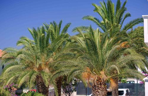 SIDRO Apartments - Foto 48