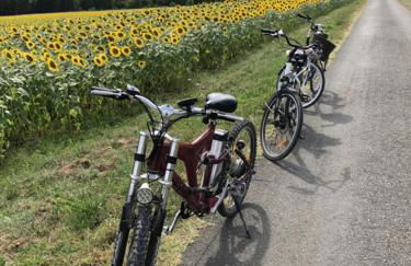 Gite La Terrasse - Private pool - Foto 21