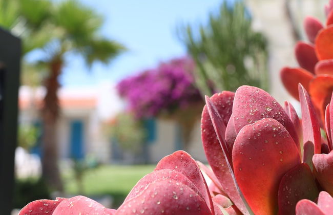 Antichi Mulini - Photo 37