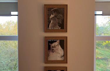 Gellyburn Cottage a Modern Farm Cottage with Countryside Views - Foto 36