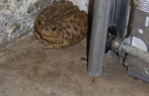 Mansion on the Hill let 4 Rooms, 5th cost extra - Foto 57