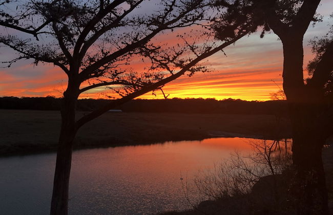 Joshua Creek Ranch - Photo 42