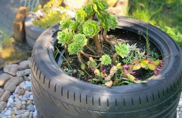 Casa Piedra Miranda - Foto 19