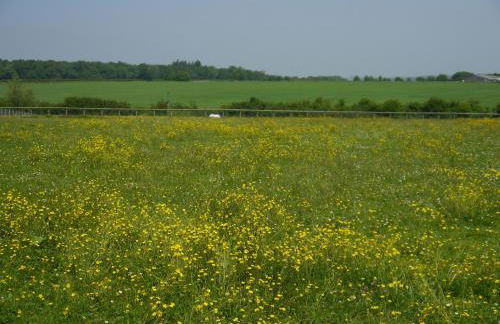 The Little White Cottage - Foto 24