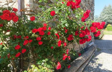 Casa delle Rose - Foto 36