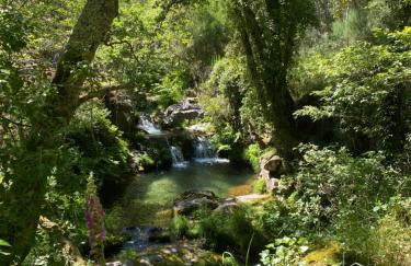 Land of Deveza - Tiny Houses - Foto 18