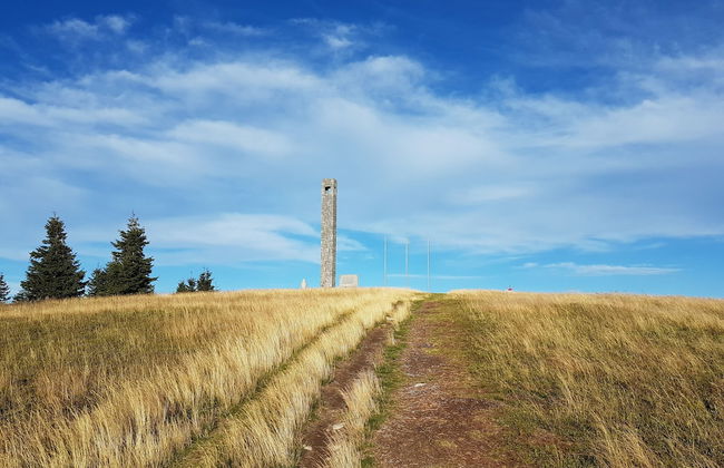 Apartmaji Koželj - Foto 28