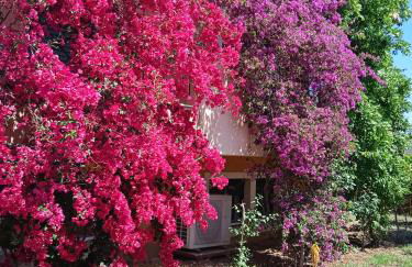 Paulina's House - Foto 20