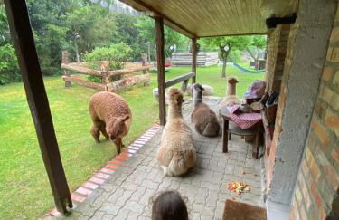 Alpakatherapie und Ferienhof Charlottenthal - Foto 5