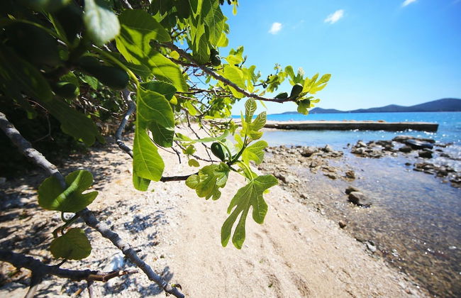 Mobile Home Plumeria 1 - Foto 18