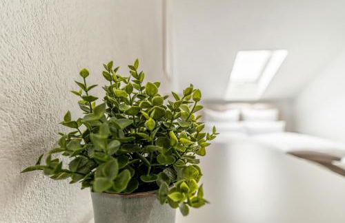 Helles Rooftop Serviced Apartment an der Schweizer Grenze - Foto 16