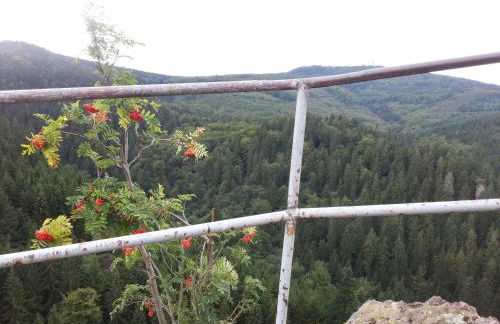 Haus Saskia - Foto 6